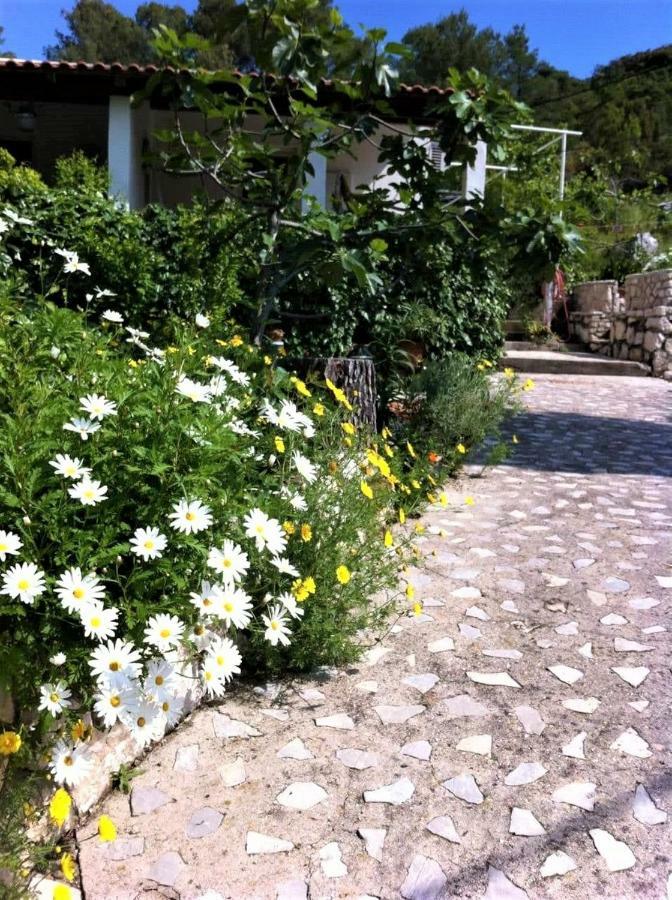 Studio Dolores-Apartment By The Sea Maranovići 外观 照片